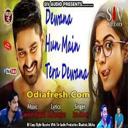 Dewana Hun Main Tera Dewana (Ratan Mohanty) Album Song